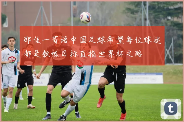邵佳一寄语中国足球希望每位球迷都是教练目标直指世界杯之路