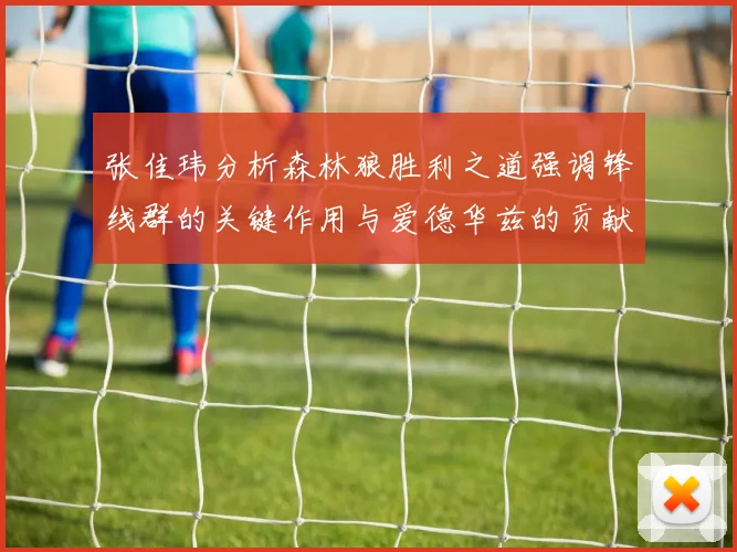 张佳玮分析森林狼胜利之道强调锋线群的关键作用与爱德华兹的贡献