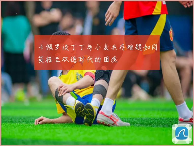 卡佩罗谈丁丁与小麦共存难题如同英格兰双德时代的困境