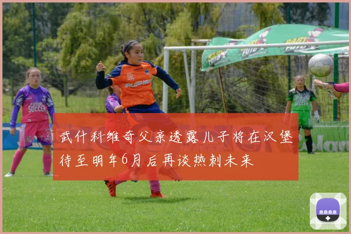 武什科维奇父亲透露儿子将在汉堡待至明年6月后再谈热刺未来