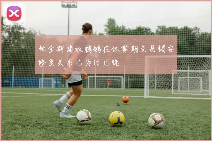 帕金斯建议鹈鹕在休赛期交易锡安修复关系已为时已晚